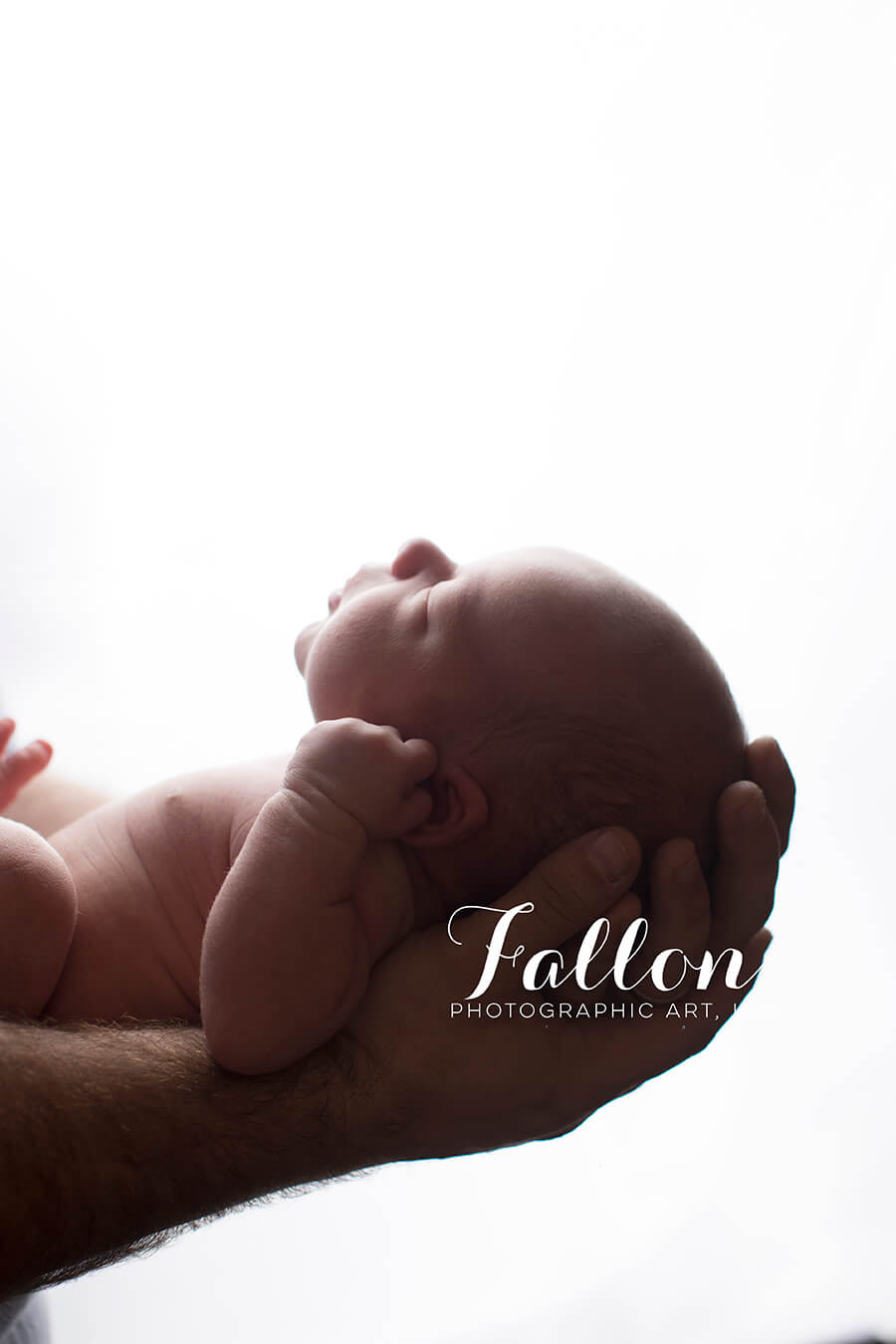 RI Newborn Photographer, RI Newborn Photography, newborn photography in ri