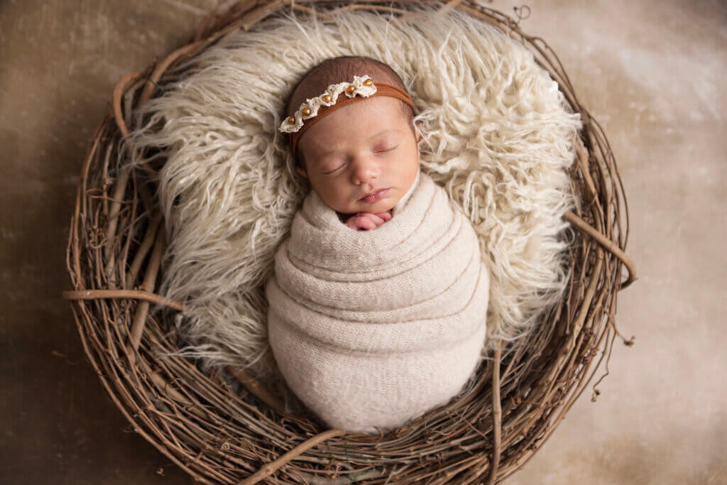 newborn in nest