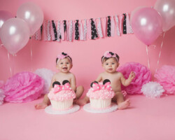minnie mouse ears twin cake smash