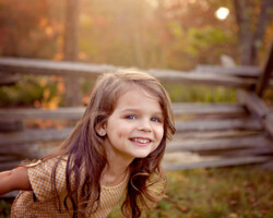 forest fun with split rail fence