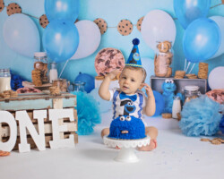 Cookie Monster Cake Smash Session