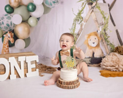 Jungle Themed Cake Smash