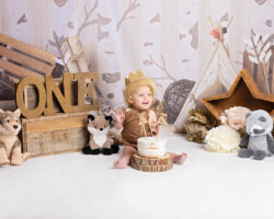 Wild One Theme Cake Smash