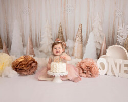 Winter Wonderland Cake Smash Session