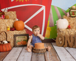 Farm Themed Cake Smash Session