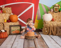 Old McDonald had a Farm Cake Smash Theme