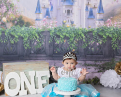 Disney Princess Cake Smash