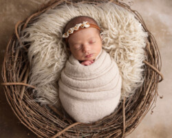 newborn in nest