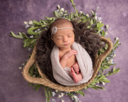 Floral newborn girl
