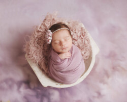 lavender newborn session