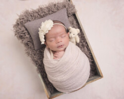 Newborn Girl in crate