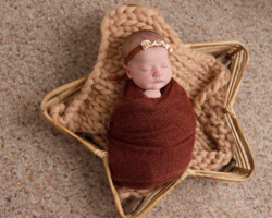 boho themed newborn session