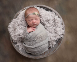 Neutral themed newborn session