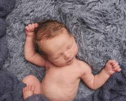 muted blue newborn session