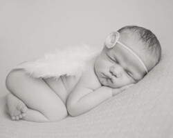sweet newborn angel